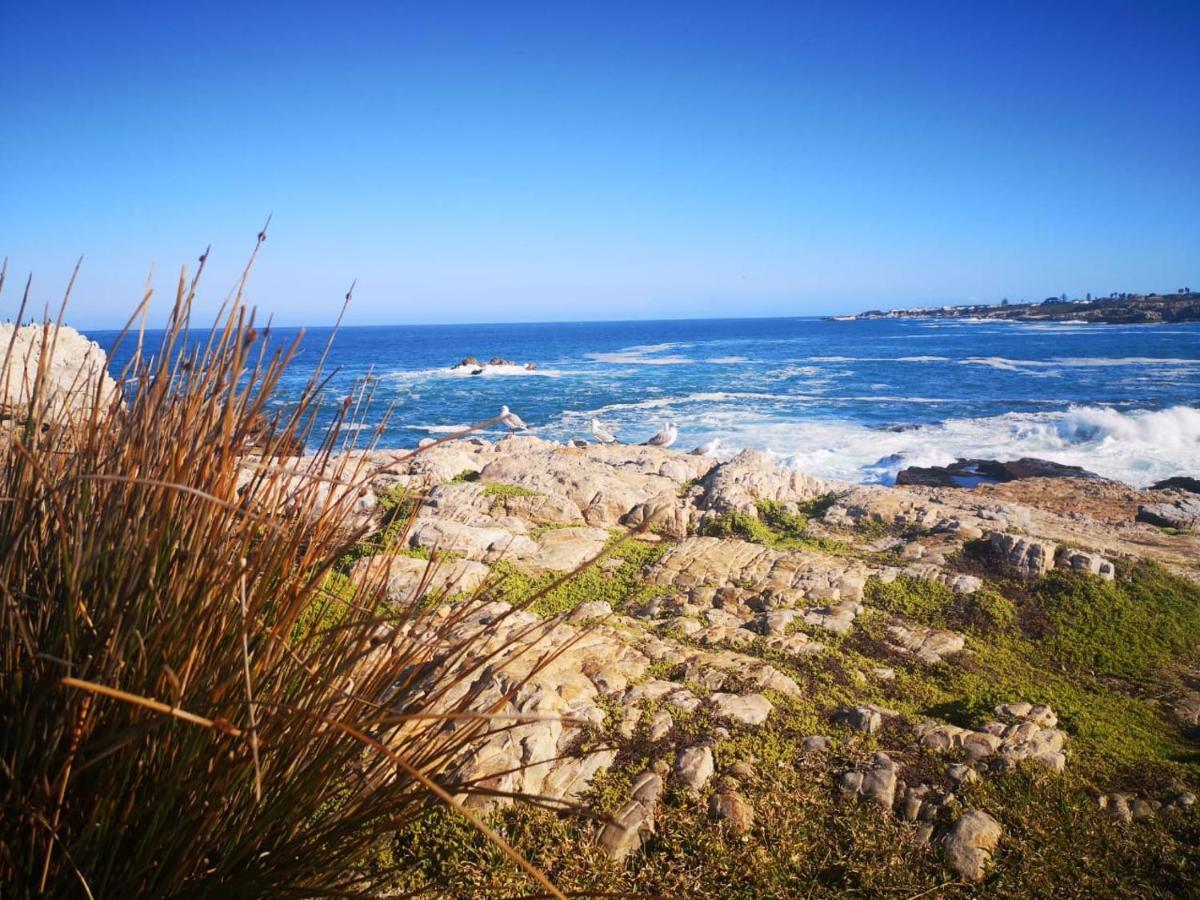Troon Beach Cottage Hermanus Exterior foto
